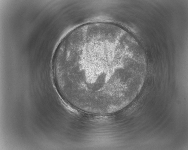 X0000055991470200509092006