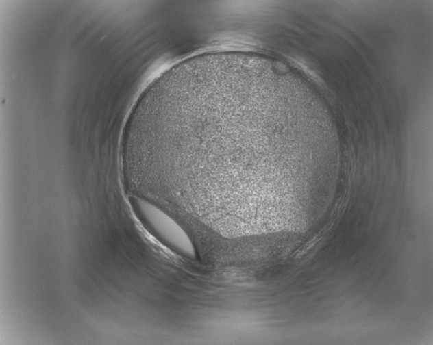 X0000055991471200509092006