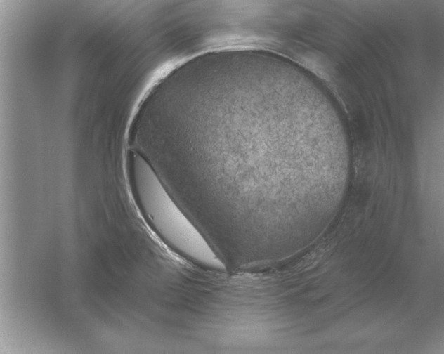 X0000055991472200509092006