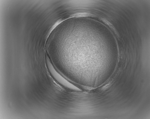 X0000055991473200509092006