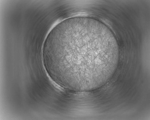 X0000055991475200509092006