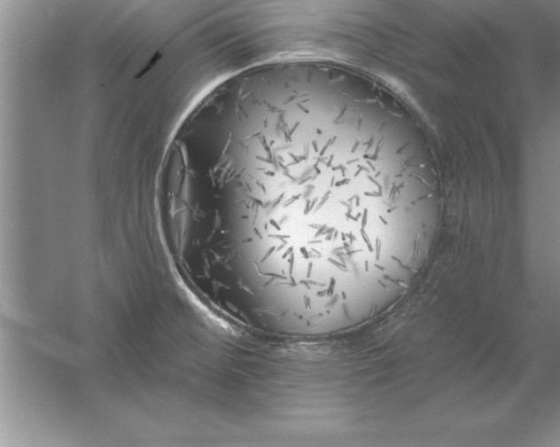 X0000055991476200509092006