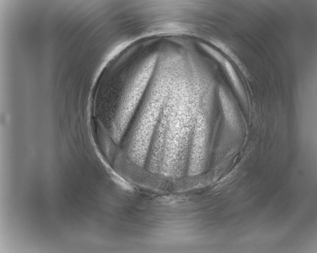 X0000055991477200509092006