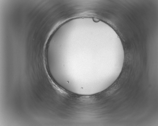 X0000055991478200509092006