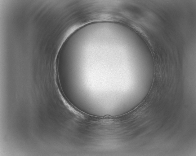 X0000055991479200509092006