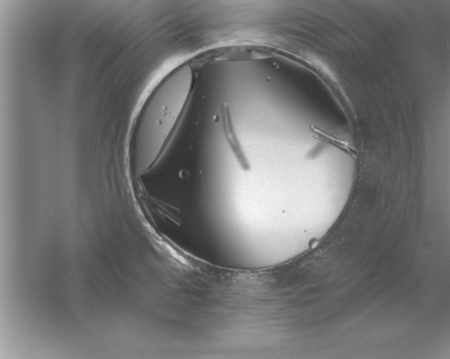 X0000055991480200509092006