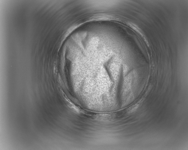 X0000055991481200509092006