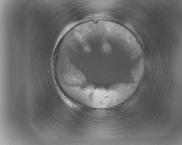 X0000055991482200509092006