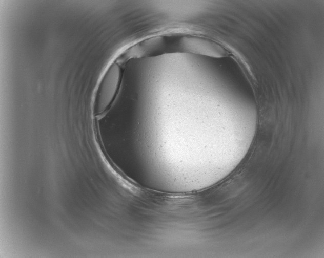 X0000055991483200509092006