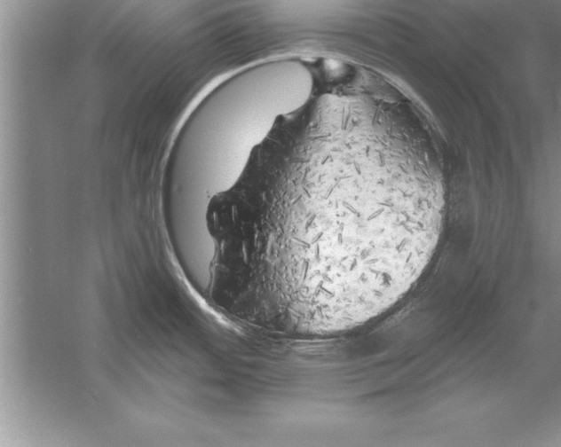 X0000055991484200509092006