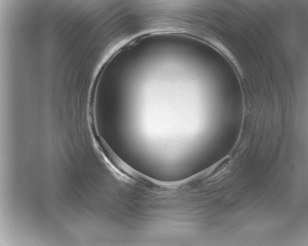 X0000055991485200509092006