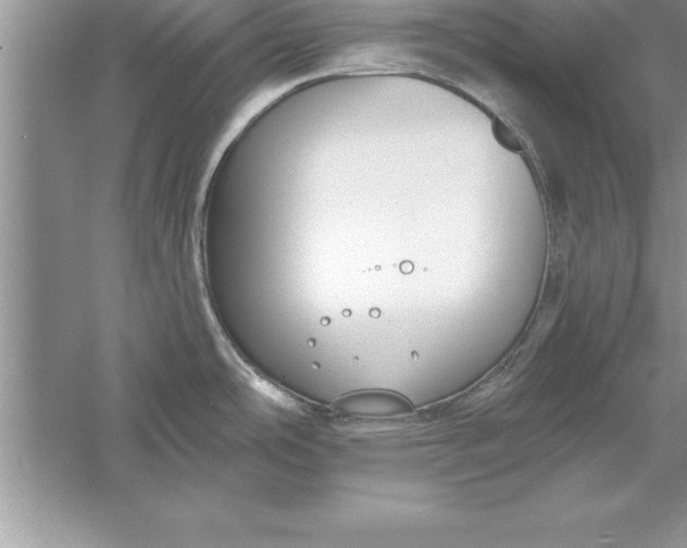 X0000055991486200509092006