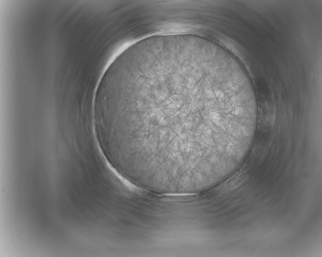 X0000055991487200509092006