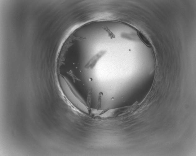 X0000055991488200509092006