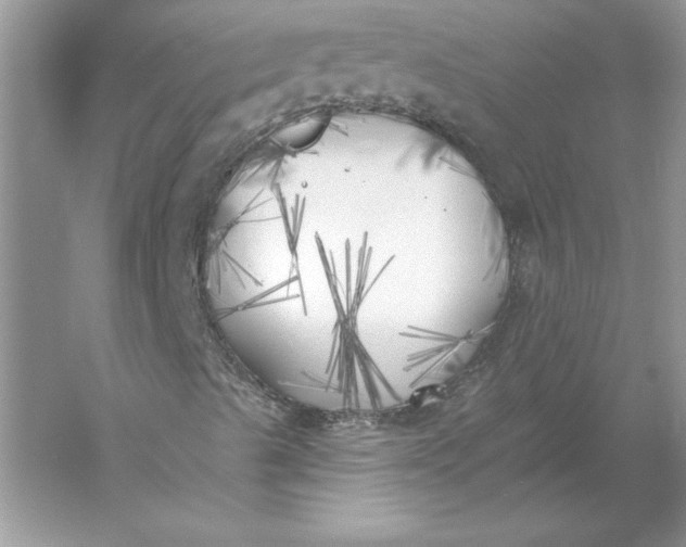 X0000055991489200509092005