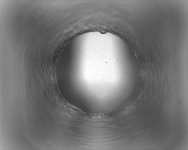 X0000055991490200509092005