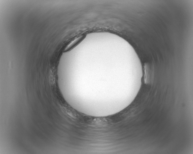 X0000055991491200509092005