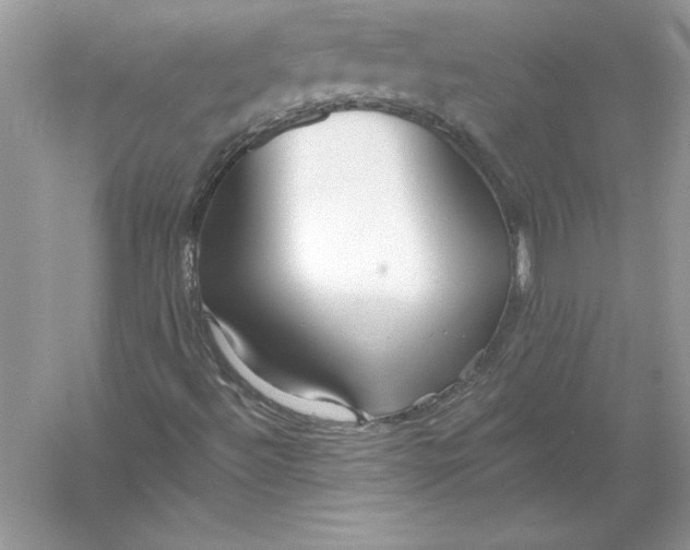 X0000055991492200509092005