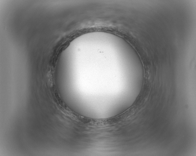 X0000055991493200509092005