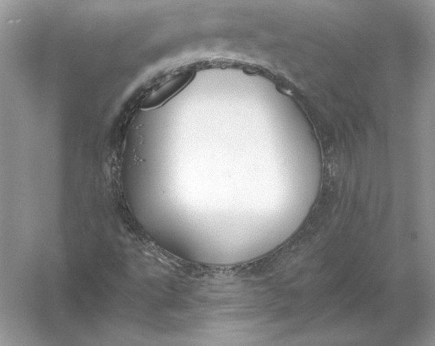 X0000055991495200509092005