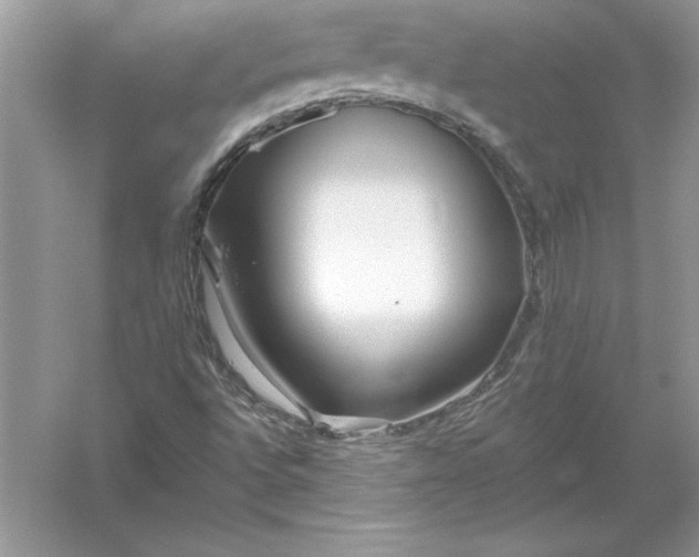 X0000055991496200509092005