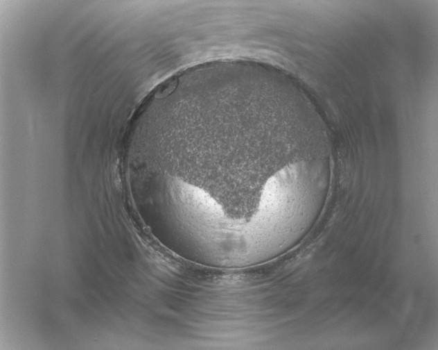 X0000055991497200509092005