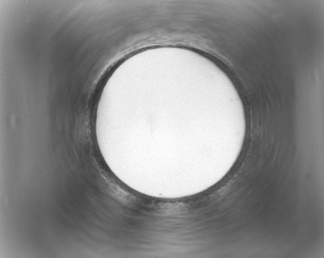 X0000055991498200509092005