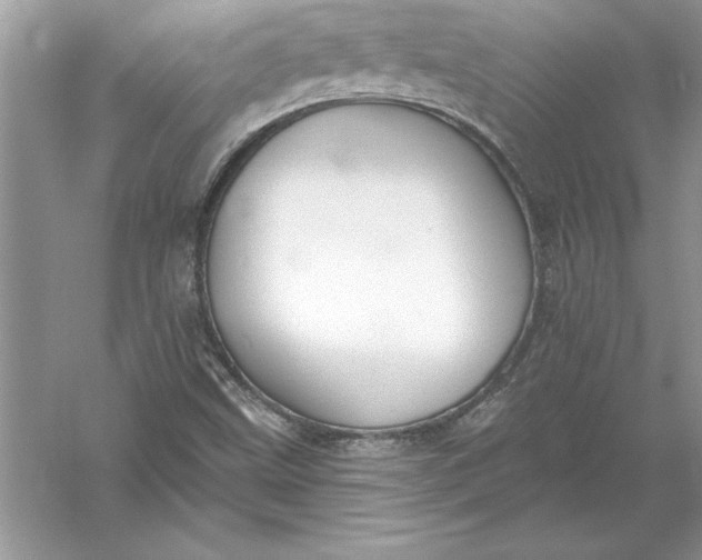 X0000055991499200509092005