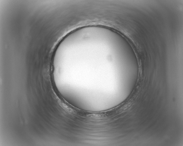 X0000055991500200509092005