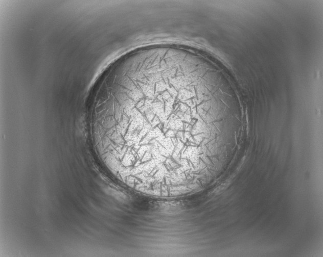 X0000055991501200509092005