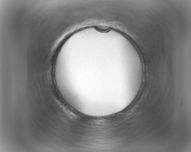 X0000055991502200509092006