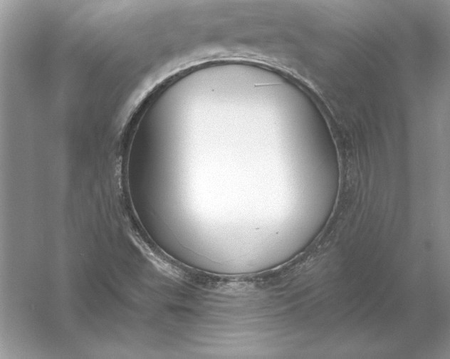 X0000055991503200509092006