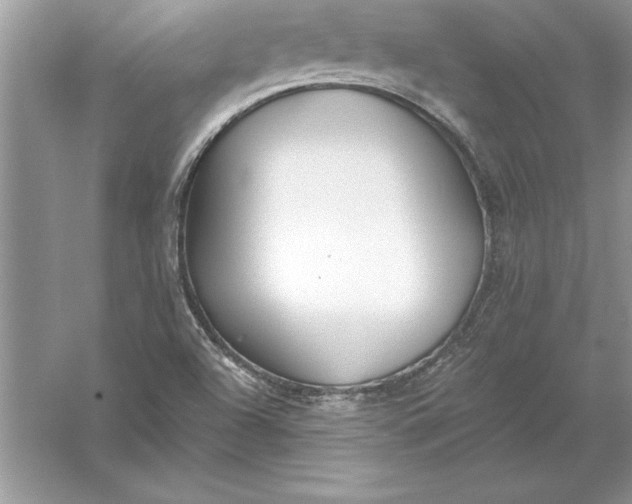 X0000055991504200509092006