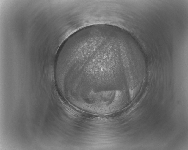 X0000055991505200509092006