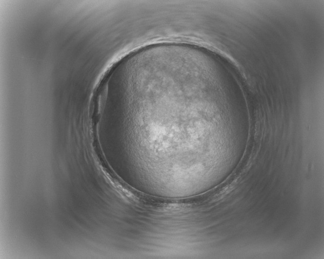 X0000055991506200509092006