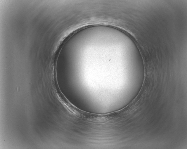 X0000055991507200509092006