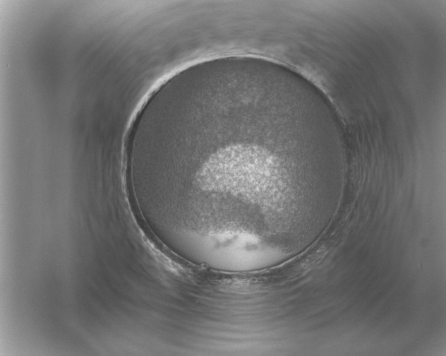 X0000055991508200509092006