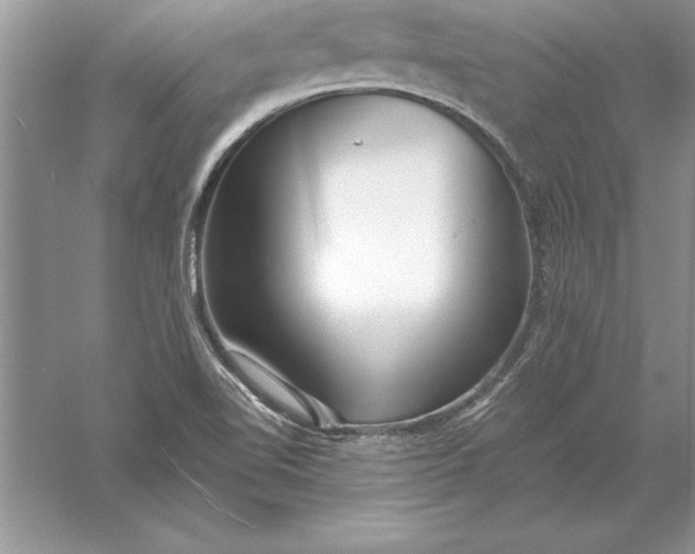 X0000055991510200509092006