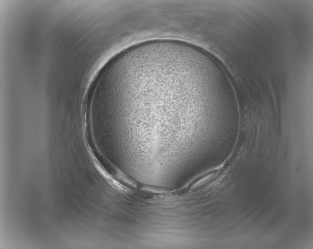 X0000055991511200509092006