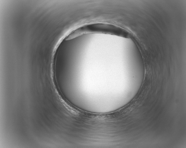 X0000055991512200509092006