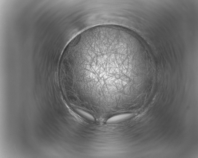 X0000055991513200509092006