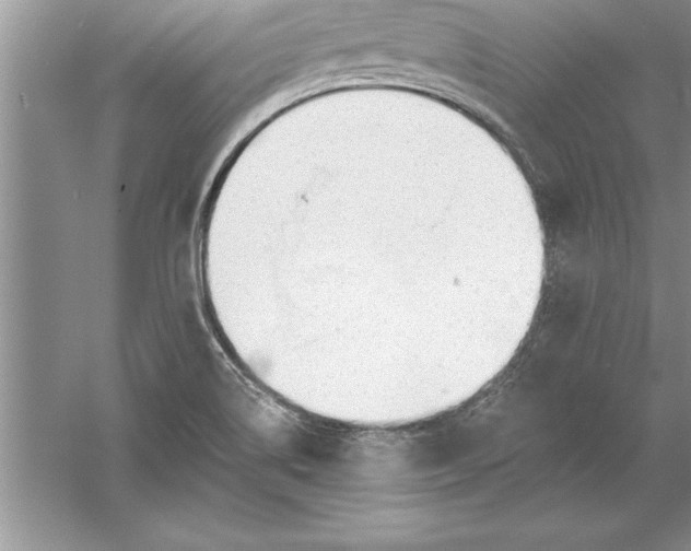 X0000055991514200509092006