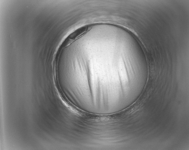 X0000055991515200509092006