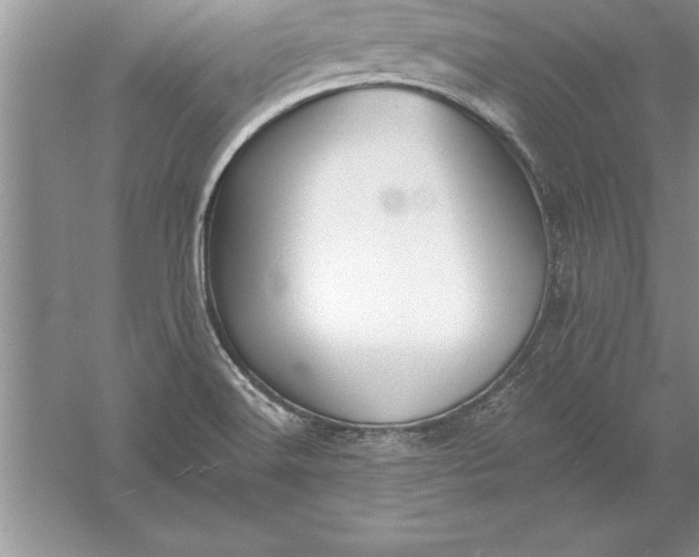 X0000055991516200509092006