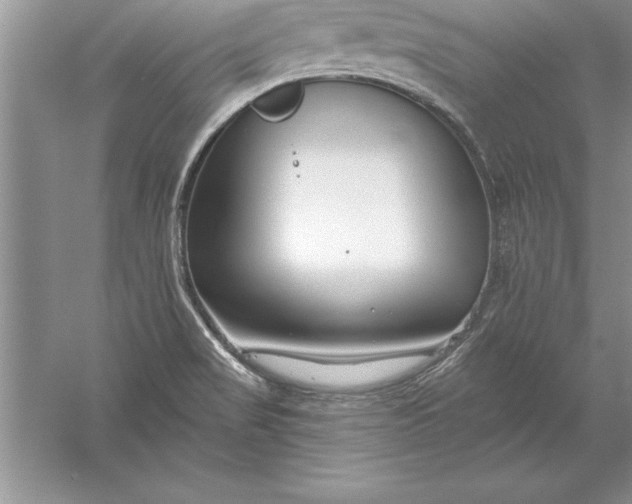 X0000055991517200509092006