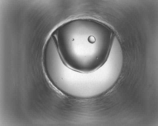 X0000055991518200509092006