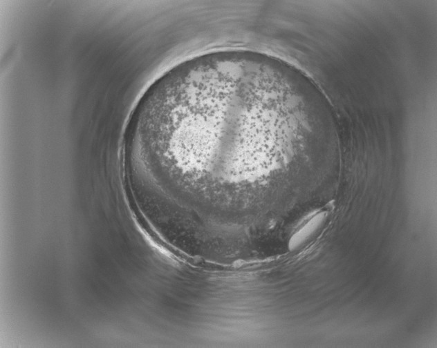 X0000055991519200509092006