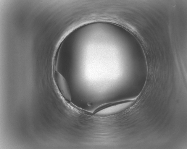 X0000055991520200509092006