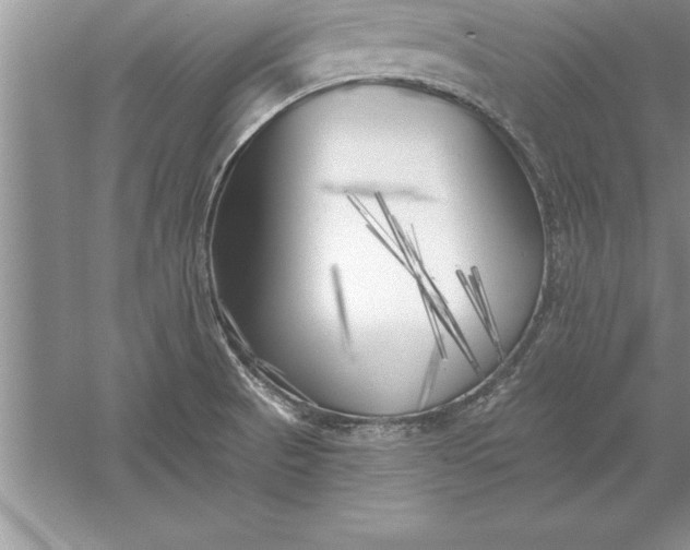 X0000055991521200509092006