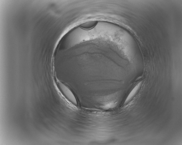 X0000055991522200509092006